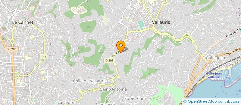 localisation de l'entreprise MONSIEUR JONATHAN SOUTAR  VALLAURIS