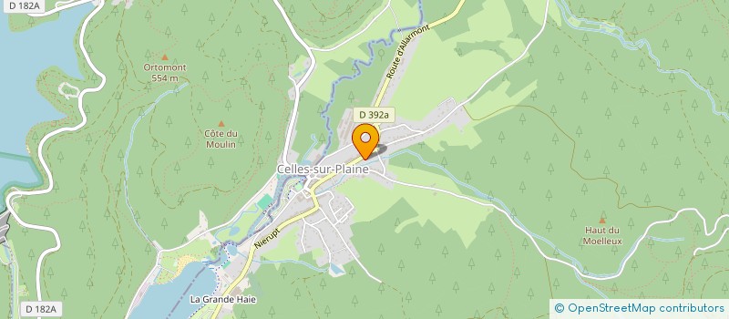 localisation de l'entreprise MONSIEUR JONATHAN WALKER  CELLES-SUR-PLAINE