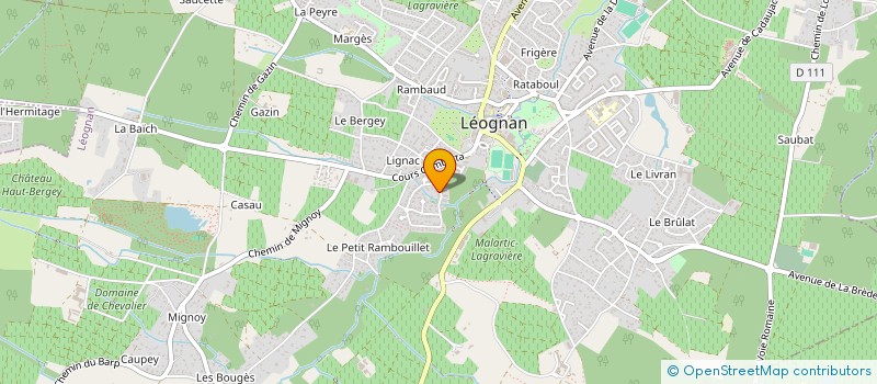 localisation de l'entreprise MONSIEUR JORAN LASSALLE  LEOGNAN