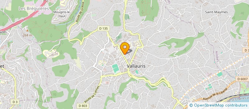 localisation de l'entreprise MONSIEUR JORDAN BANDROU  VALLAURIS