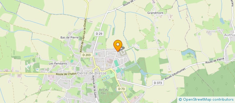 localisation de l'entreprise MONSIEUR JORDAN BODEIN  PIERRE-DE-BRESSE