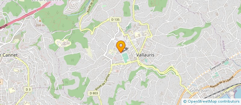 localisation de l'entreprise MONSIEUR JORDAN MARIUS à VALLAURIS