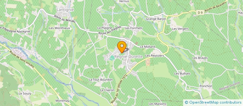 localisation de l'entreprise MONSIEUR JORDAN MONTVERNAY  REGNIE-DURETTE