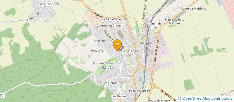 localisation de l'entreprise MONSIEUR JORDANE ZOTT à BRIENNE-LE-CHATEAU