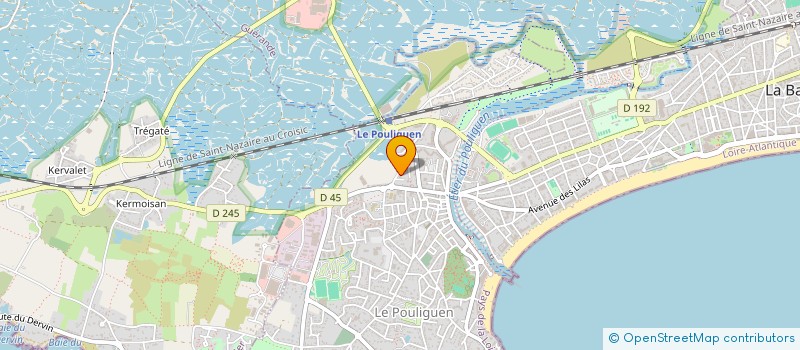 localisation de l'entreprise MONSIEUR JORGE DE OLIVEIRA REIS à LE POULIGUEN