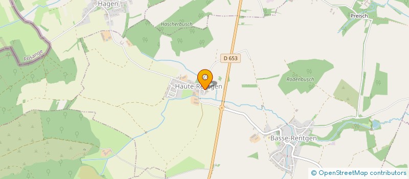 localisation de l'entreprise MONSIEUR JORGE DE PAZ  BASSE-RENTGEN