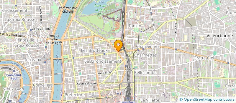 localisation de l'entreprise MONSIEUR JORGE EMILIO RIBEIRO MACHADO  LYON