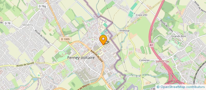 localisation de l'entreprise MONSIEUR JORGE LEMA VIDAL à FERNEY-VOLTAIRE