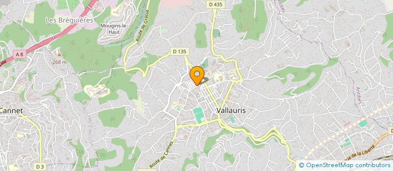 localisation de l'entreprise MONSIEUR JORIS ARLAUD à VALLAURIS