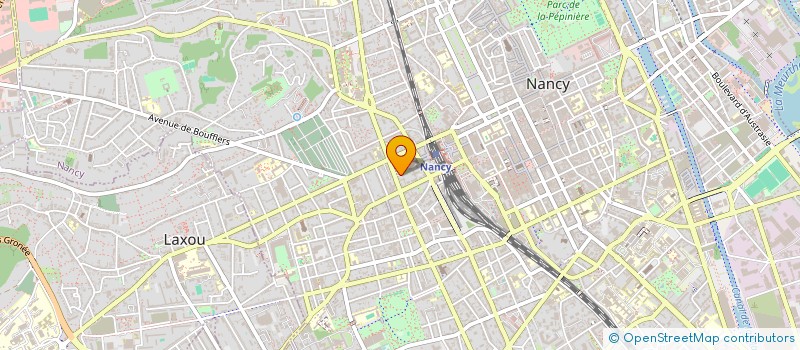 localisation de l'entreprise MONSIEUR JORIS BOWER  NANCY