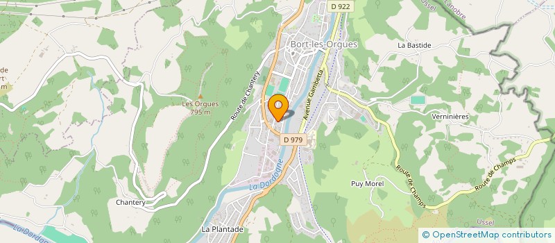 localisation de l'entreprise MONSIEUR JORIS FERNANDEZ-GARCIA  BORT-LES-ORGUES