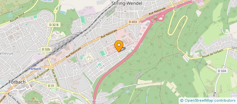 localisation de l'entreprise MONSIEUR JORIS HANS  FORBACH