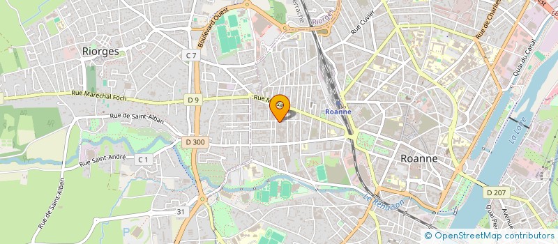 localisation de l'entreprise MONSIEUR JORIS MAGNIN  ROANNE