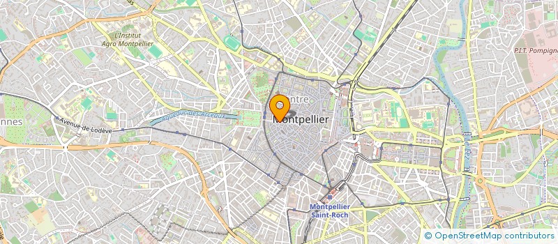 localisation de l'entreprise MONSIEUR JORIS MERINE à MONTPELLIER