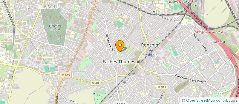 localisation de l'entreprise MONSIEUR JORIS MICHOLET à FACHES-THUMESNIL