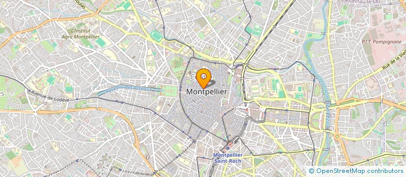 localisation de l'entreprise MONSIEUR JORIS PFLUMIO à MONTPELLIER