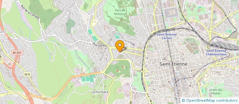 localisation de l'entreprise MONSIEUR JORIS TOUZEAU  SAINT-ETIENNE