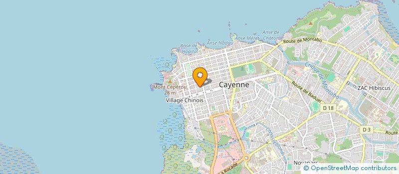 localisation de l'entreprise MONSIEUR JORIS VOISIN à CAYENNE