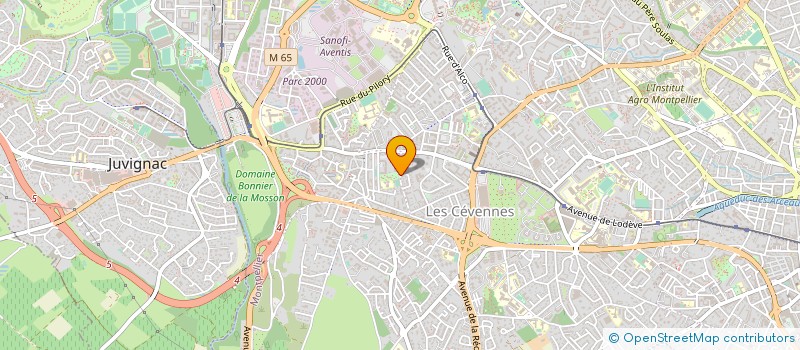 localisation de l'entreprise MONSIEUR JOSE ALVAREZ à MONTPELLIER