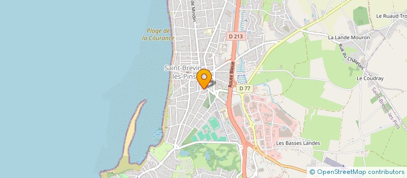 localisation de l'entreprise MONSIEUR JOSE BOURDIN à SAINT-BREVIN-LES-PINS