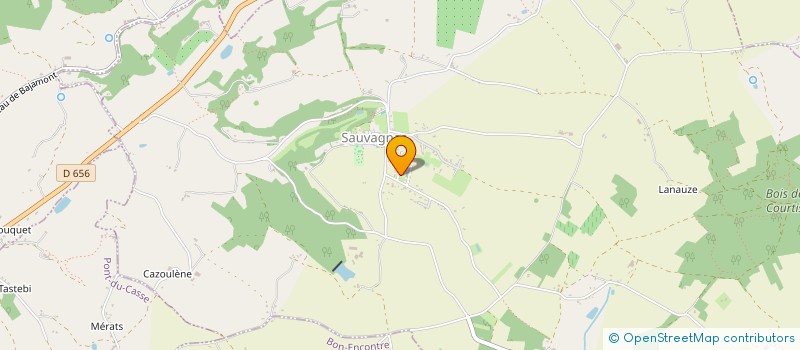 localisation de l'entreprise MONSIEUR JOSE CHAZAREIN  SAUVAGNAS