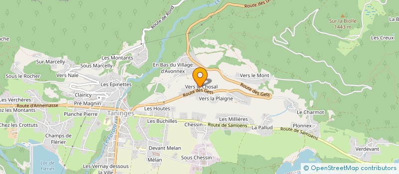 localisation de l'entreprise MONSIEUR JOSE DE FIGUEIREDO FERNANDES à TANINGES
