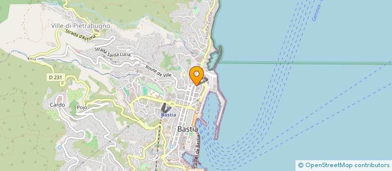 localisation de l'entreprise MONSIEUR JOSE EDUARDO FERNANDES PARRINHA à BASTIA