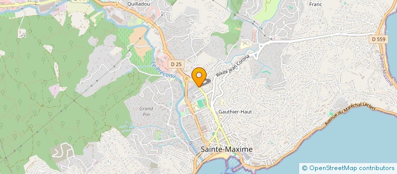 localisation de l'entreprise MONSIEUR JOSE FERNANDEZ DANTAS DE SA à SAINTE-MAXIME