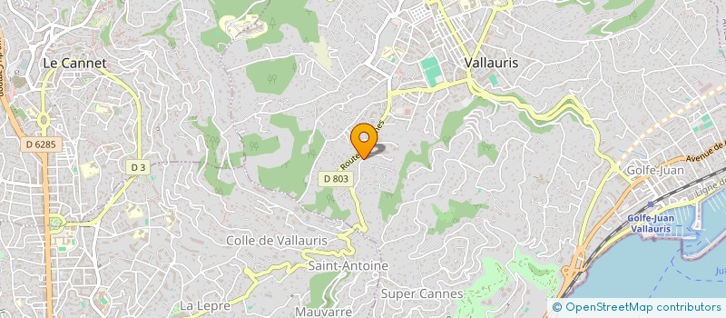 localisation de l'entreprise MONSIEUR JOSE GONCALVES AFONSO à VALLAURIS