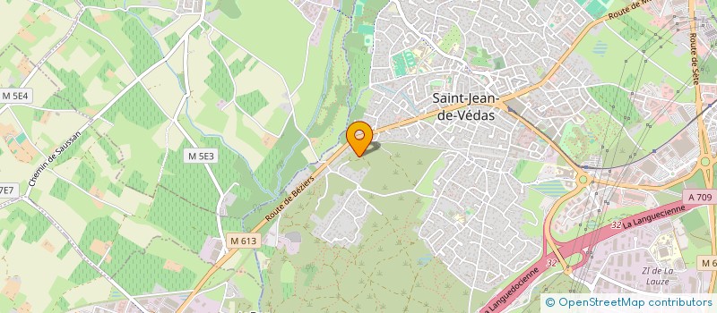 localisation de l'entreprise MONSIEUR JOSE LLUCH MARTINEZ  SAINT-JEAN-DE-VEDAS