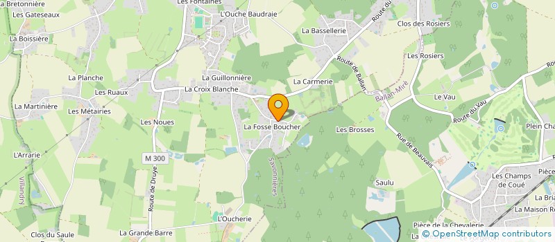 localisation de l'entreprise MONSIEUR JOSE LOUREIRO DE SOUSA  SAVONNIERES