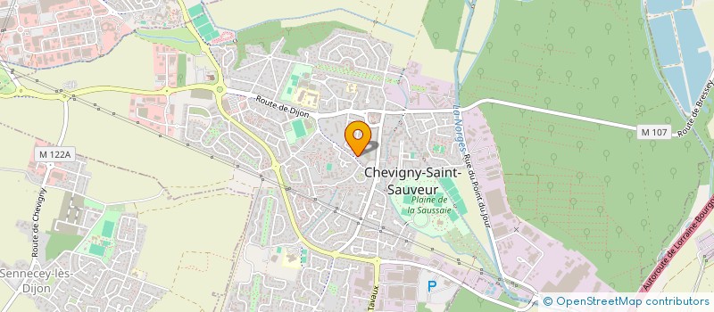 localisation de l'entreprise MONSIEUR JOSE MANUEL RODRIGUES RIBEIRO à CHEVIGNY-SAINT-SAUVEUR