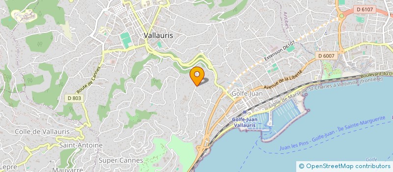 localisation de l'entreprise MONSIEUR JOSE MARQUES LOPES JUNIOR à VALLAURIS