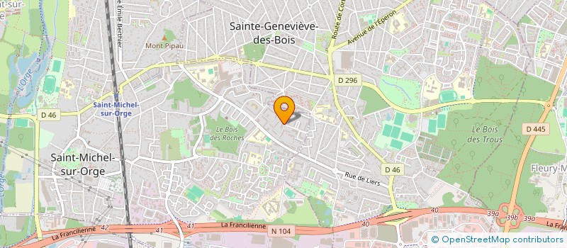 localisation de l'entreprise MONSIEUR JOSE MENDES VARELA MASCARENHAS à SAINT-MICHEL-SUR-ORGE