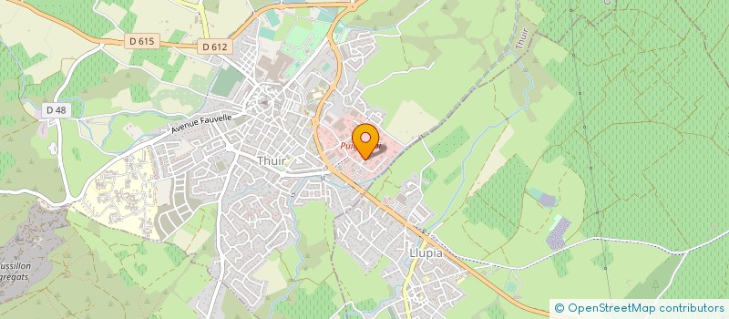 localisation de l'entreprise MONSIEUR JOSE SANCHEZ FERNANDEZ  THUIR