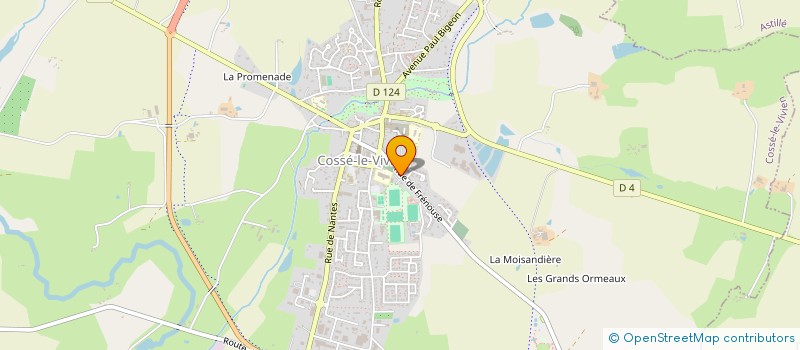 localisation de l'entreprise MONSIEUR JOSEPH BREJUIN  COSSE-LE-VIVIEN