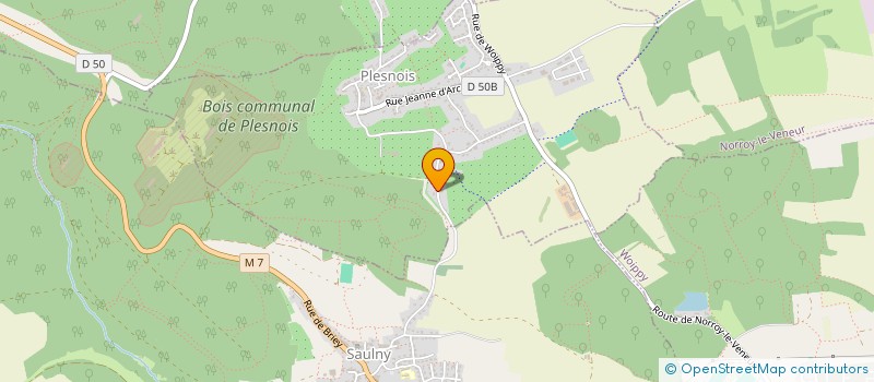 localisation de l'entreprise MONSIEUR JOSEPH CUSUMANO  PLESNOIS