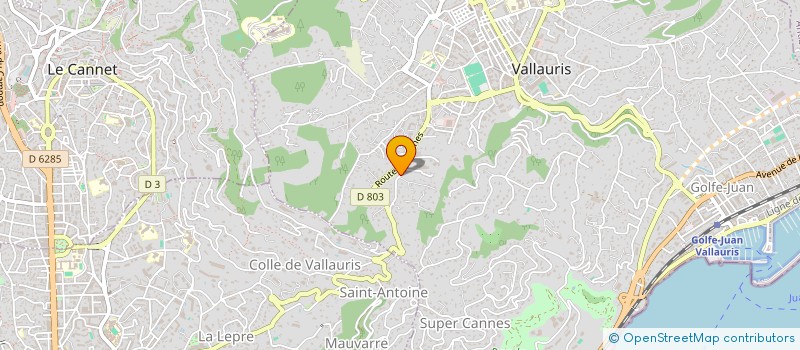localisation de l'entreprise MONSIEUR JOSEPH DUCHAMP à VALLAURIS