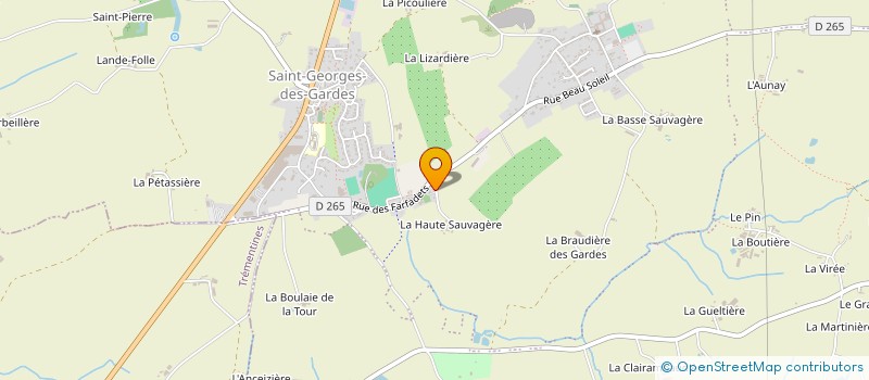 localisation de l'entreprise MONSIEUR JOSEPH FREMONDIERE à CHEMILLE-EN-ANJOU
