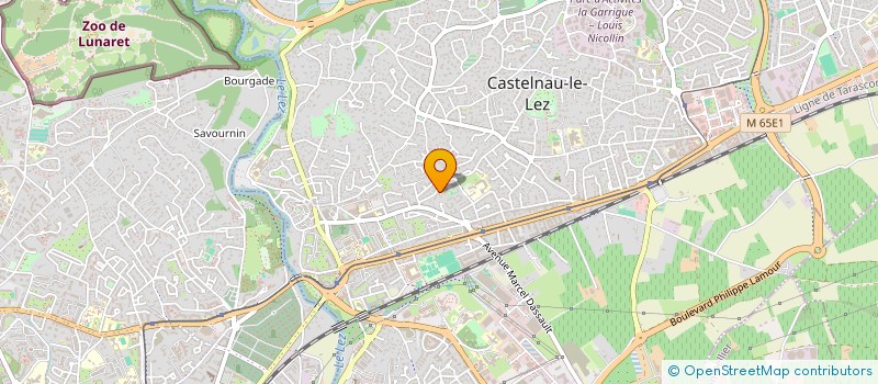 localisation de l'entreprise MONSIEUR JOSEPH MASI  CASTELNAU-LE-LEZ