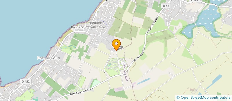 localisation de l'entreprise MONSIEUR JOSEPH MITZESSYN  PIRIAC-SUR-MER