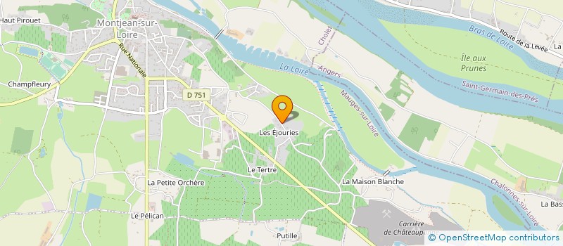 localisation de l'entreprise MONSIEUR JOSEPH MOUSSEAU à MAUGES-SUR-LOIRE