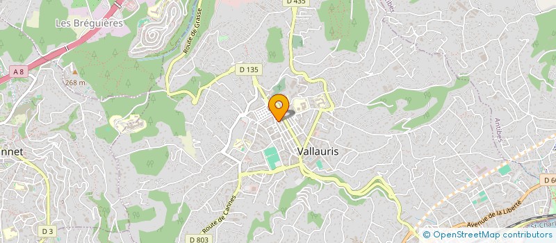 localisation de l'entreprise MONSIEUR JOSEPH ORSINI à VALLAURIS