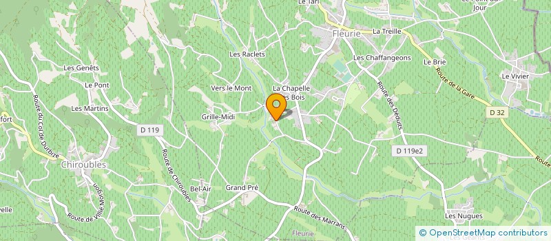 localisation de l'entreprise MONSIEUR JOSEPH RODARY à FLEURIE