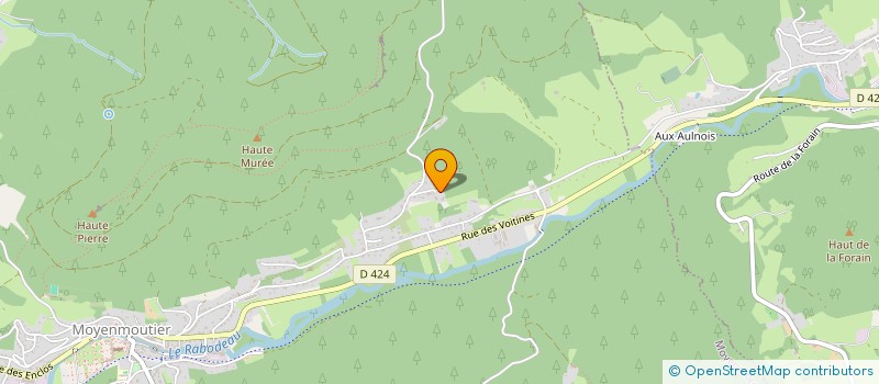 localisation de l'entreprise MONSIEUR JOSEPH SURIANI  MOYENMOUTIER