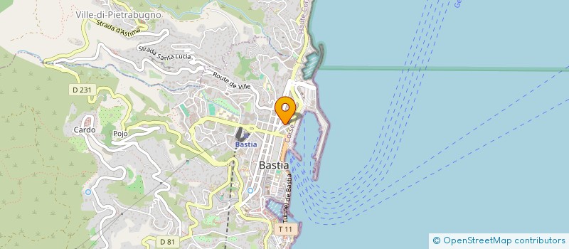 localisation de l'entreprise MONSIEUR JOSEPH TORRE à BASTIA
