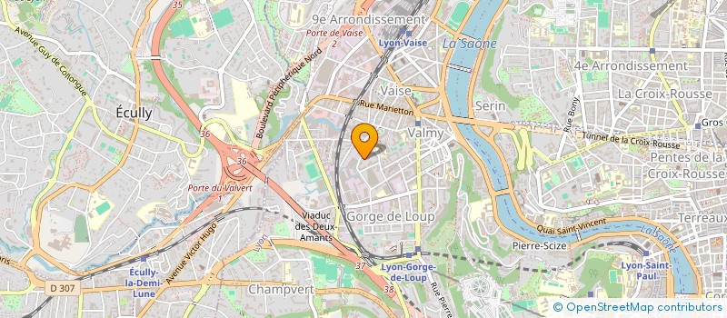 localisation de l'entreprise MONSIEUR JOSHUA BALDWIN à LYON