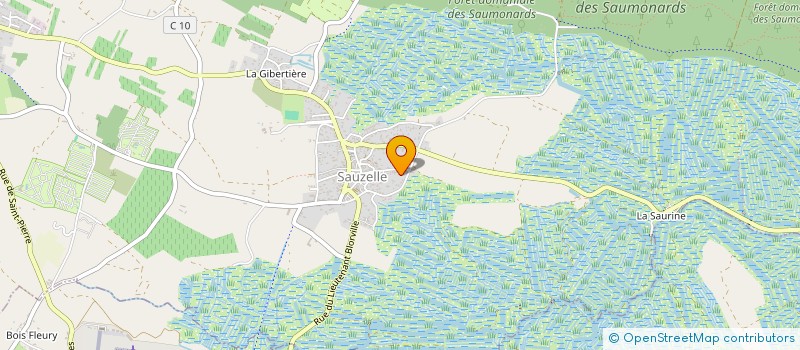 localisation de l'entreprise MONSIEUR JOSHUA MINETTE à SAINT-GEORGES-D'OLERON