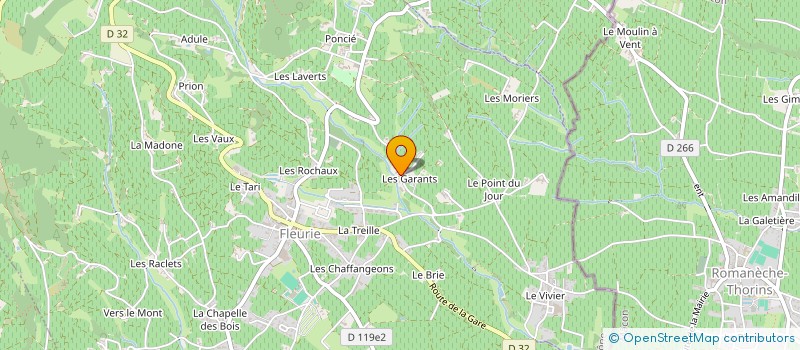 localisation de l'entreprise MONSIEUR JOSSELIN VAGNAT  FLEURIE