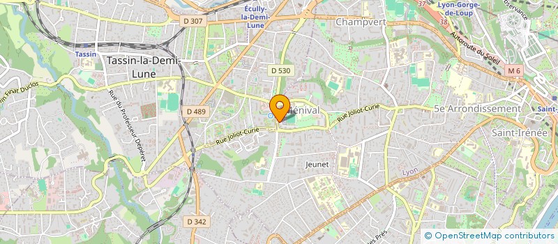 localisation de l'entreprise MONSIEUR JOSUE ALLADINGUIM YONGAR  LYON